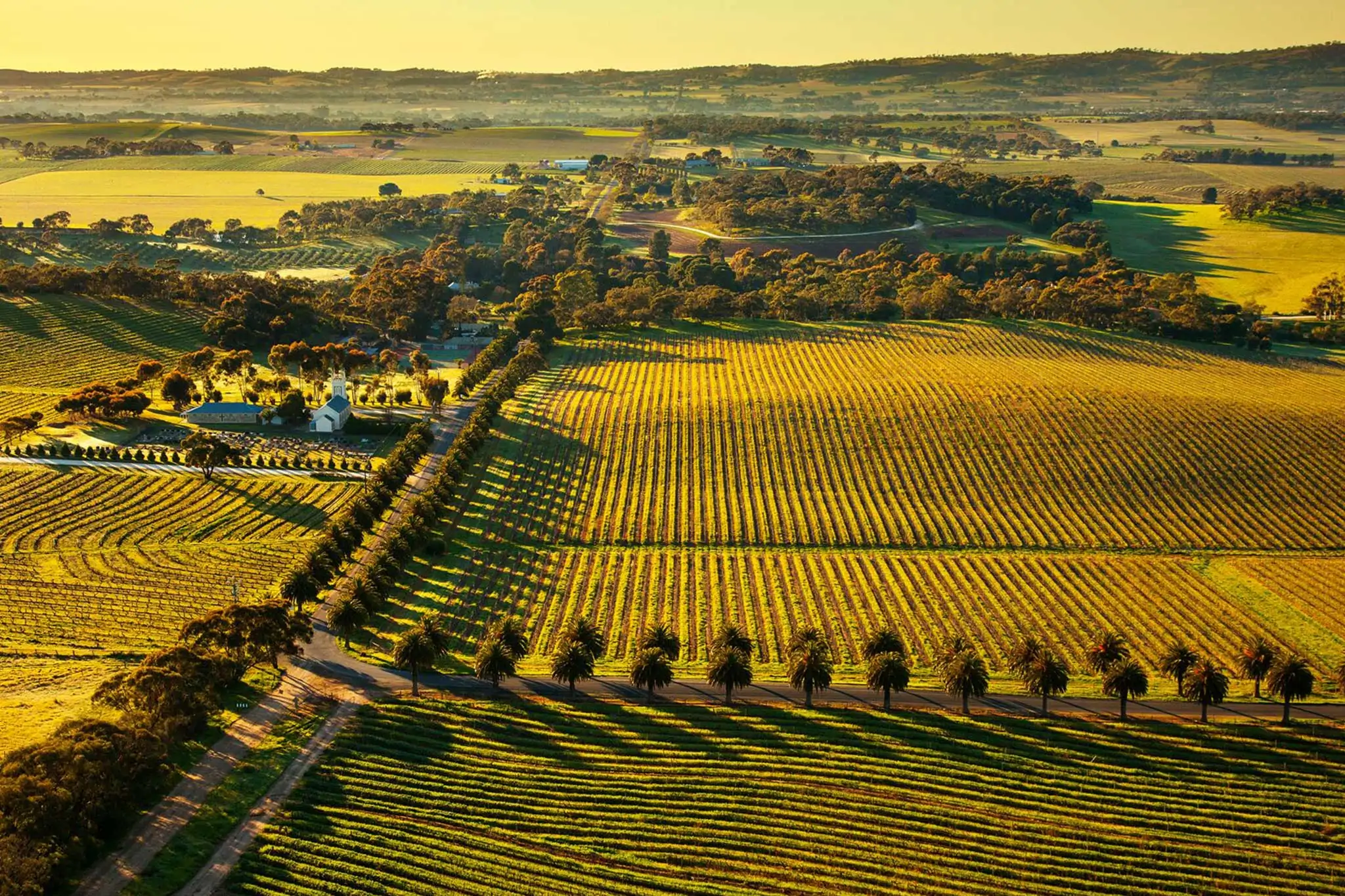The Barossa Valley